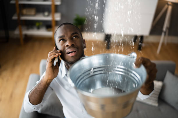 Best Water damage restoration near me  in Toftrees, PA