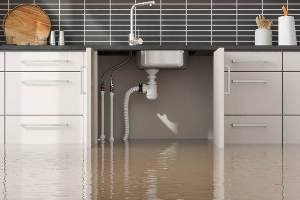 Best Water damage cleanup near me  in Toftrees, PA